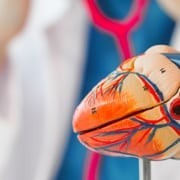 hartrevalidatie na dotterbehandeling bij Fysiopark in Uden